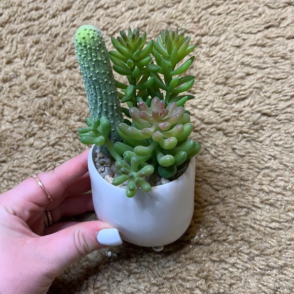 Decor - Picture 2 of 4